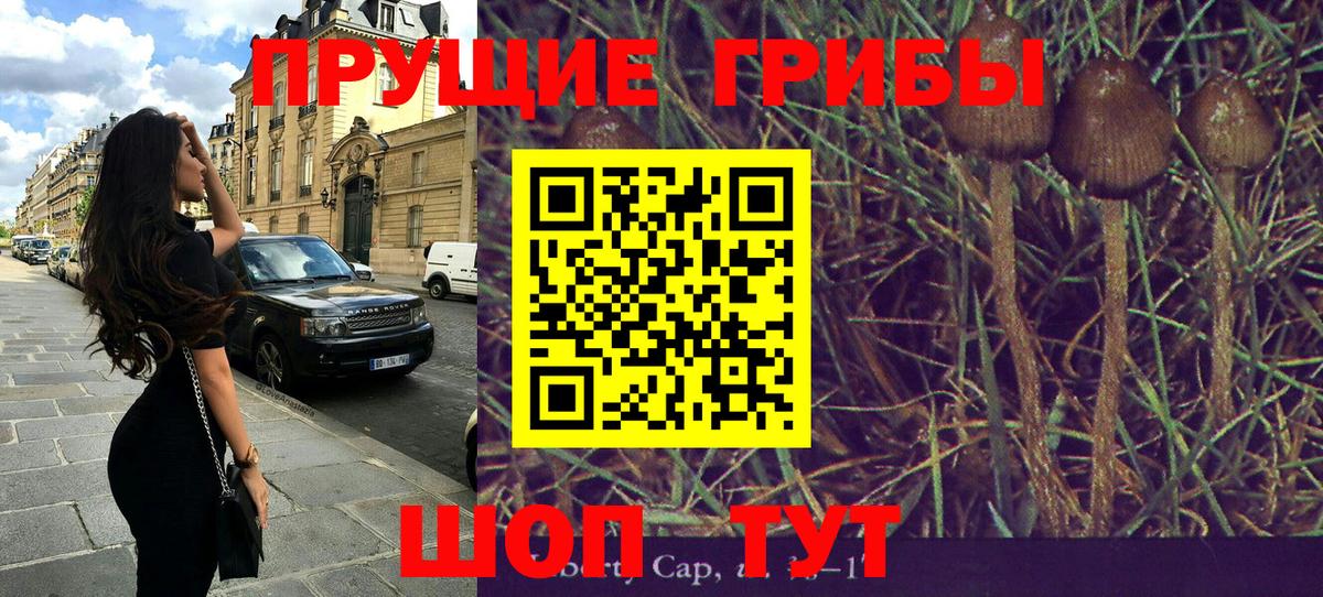 Галлюциногенные грибы Cubensis  Вход с VPN  Галлюциногенные грибы GOLDEN TEACHER  Новошахтинск 