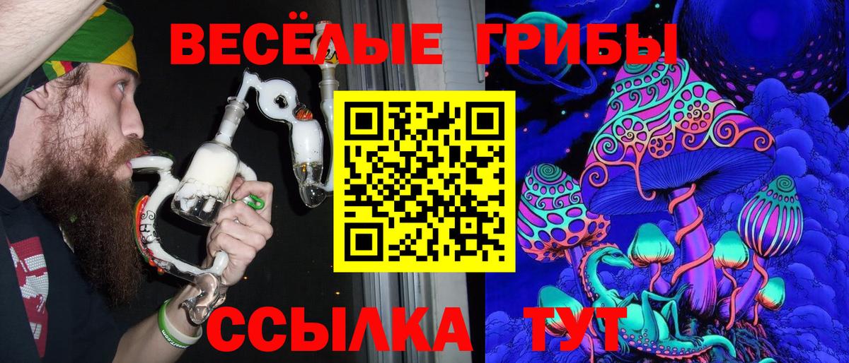 Галлюциногенные грибы Magic Shrooms Новошахтинск